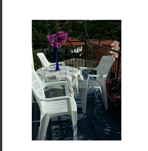 Apartmani Ivona 포드고라 외부 사진